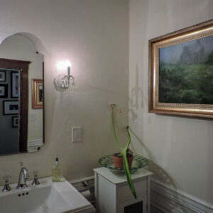 Decorative Interiors Bathroom Myrtle Beach