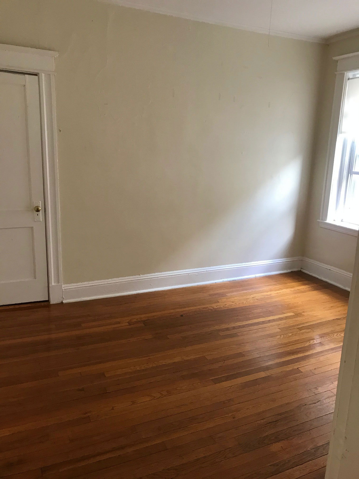 decorativeinteriorsmyrtlebeachsouthcarolinacollegeapartment